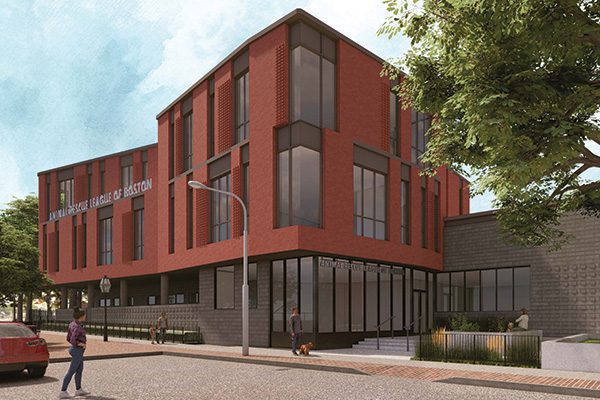 Rendering of the new Animal Rescue League of Boston building