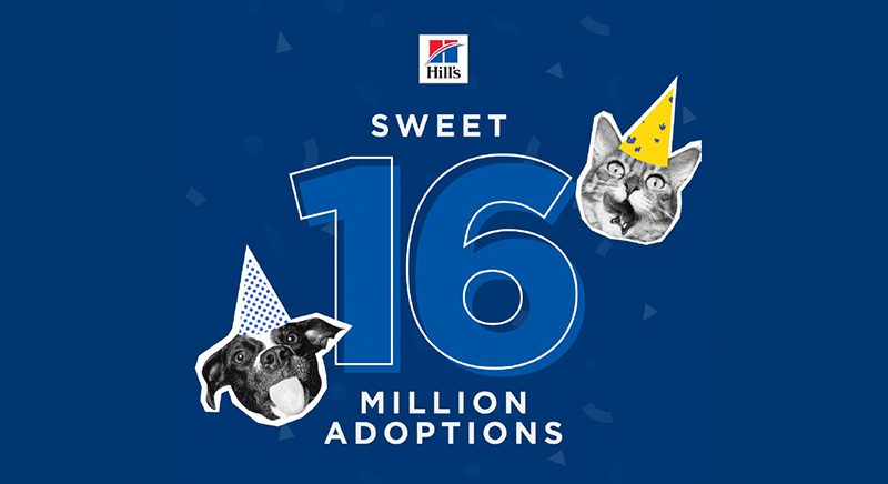 Blue background with "Sweet 16 Million Adoptions" in white text. A dog and a cat wear yellow party hats, celebrating. Hill's Pet Nutrition logo at the top.