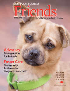 Our Four-Footed Friends Spring/Summer 2016 edition