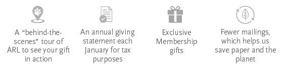Champions Circle Membership Perks