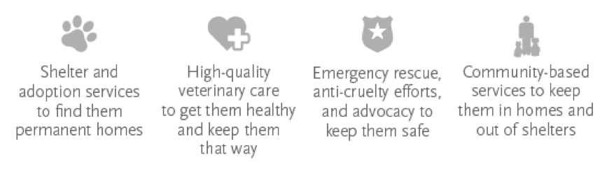 programs and initiatives