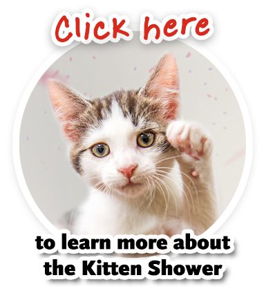 kitten shower button