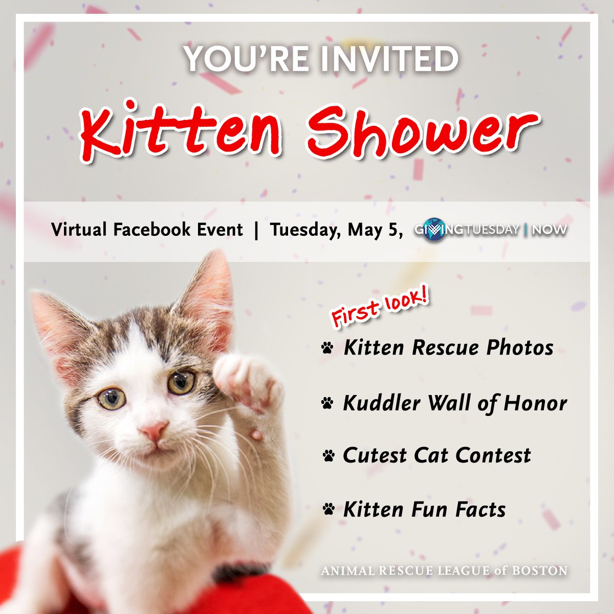 kitten shower graphic