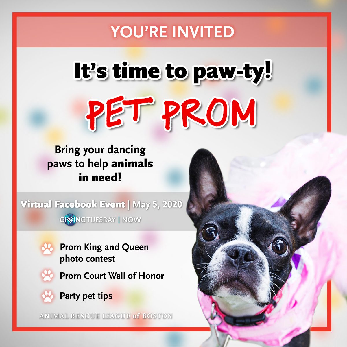 Pet Prom invite graphic