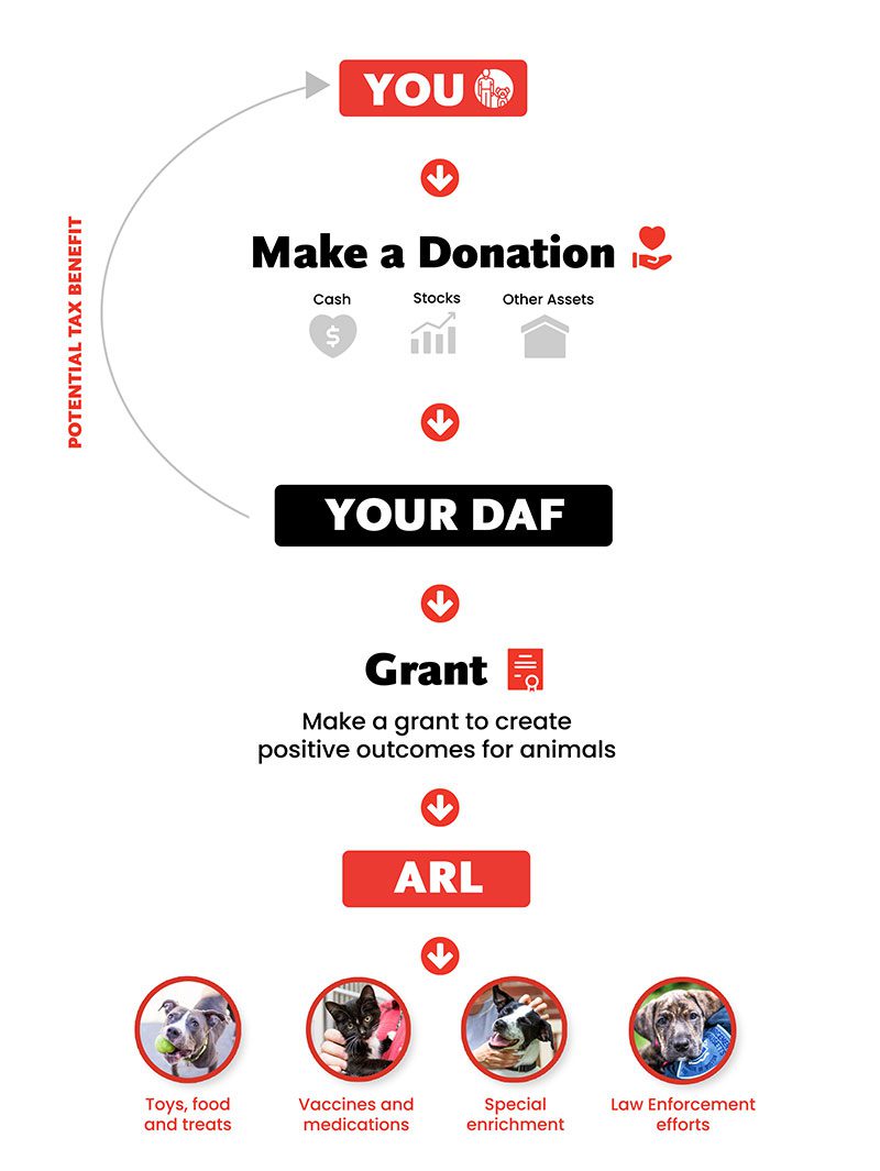 What is a DAF Infographic