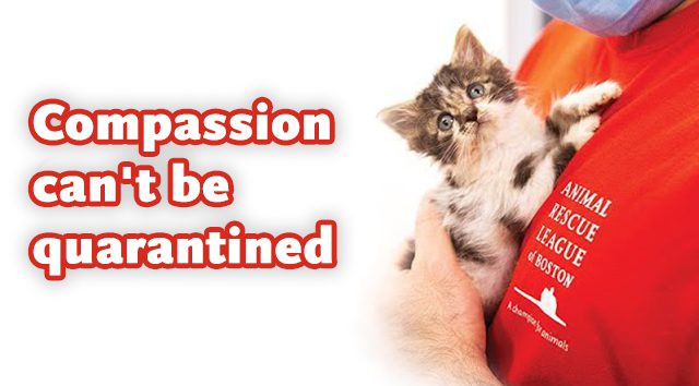 Compassion Can't be quarantined video