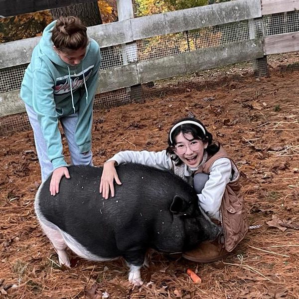 youth with pig