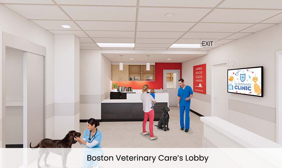 Boston Veterinary Care’s Lobby