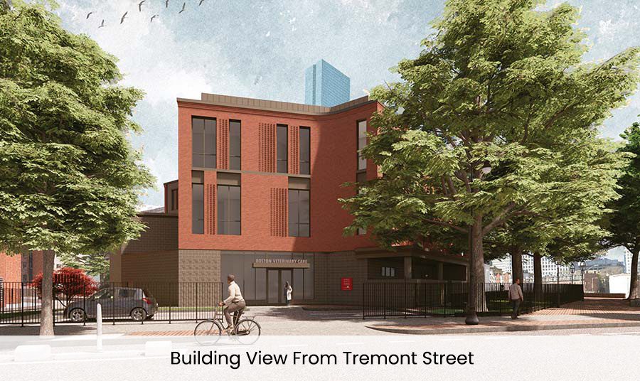 Building View From Tremont Street