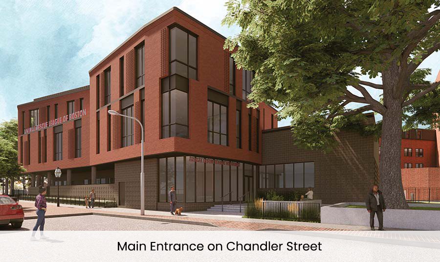 buidling-chandler-st-rendering