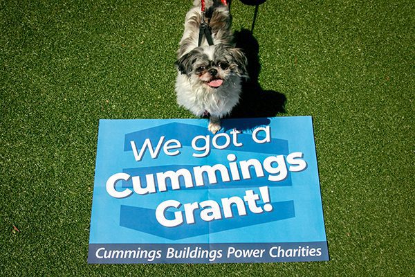 A happy dog stands on grass, next to a blue sign that reads, "We got a Cummings Grant!" The scene conveys excitement and celebration.