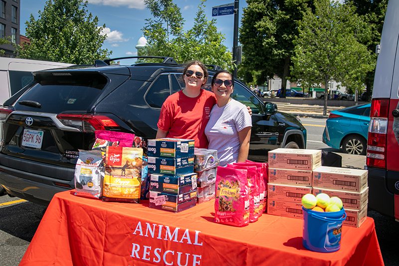 Two smiling people pose behind an “Animal Rescue League of Boston” table piled with pet food, treats, supplies, and tennis balls on a sunny street.