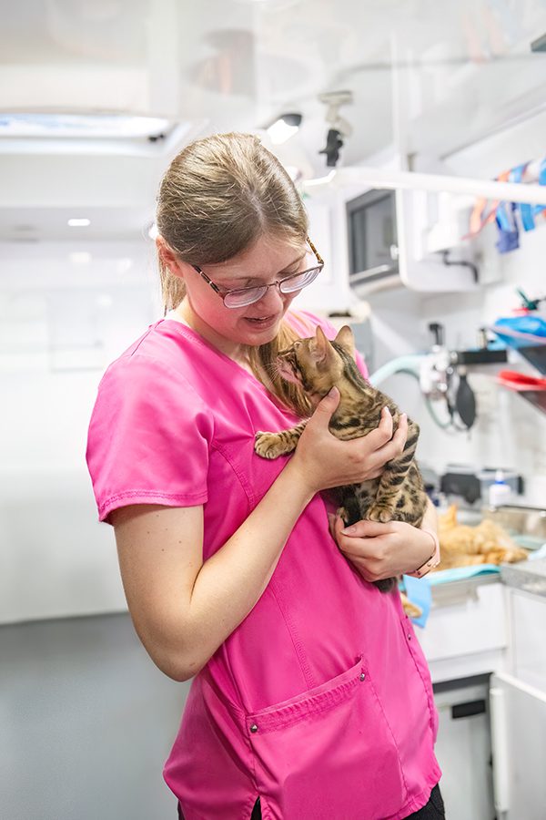 A veterinary student in bright pink scrubs gently cradles a kitten in a modern veterinary clinic setting.
